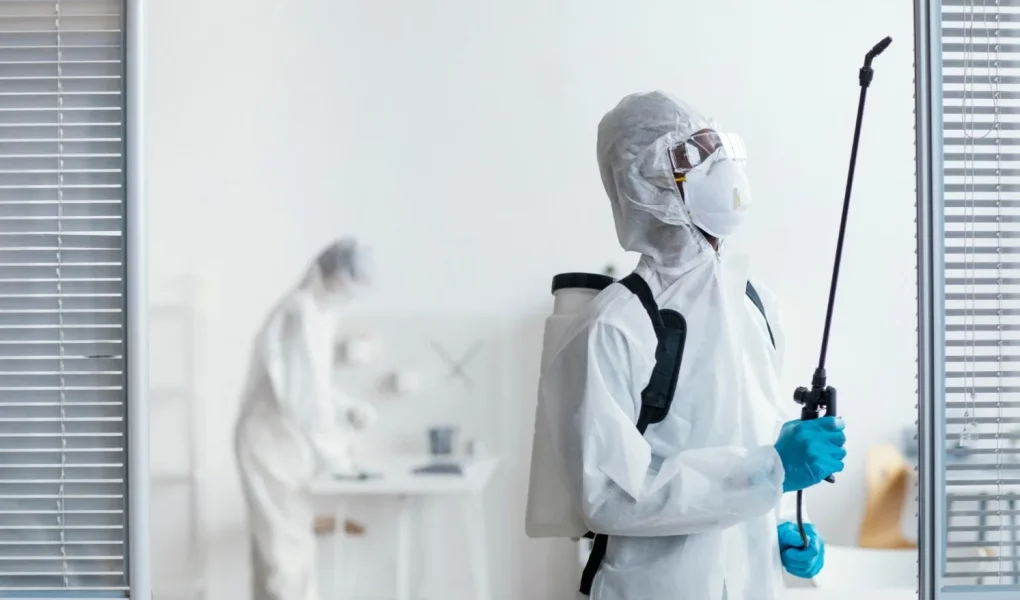 5 raisons de faire appel à un service professionnel de lutte antiparasitaire à Laval 1 antiparasite laval jpg