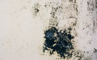 a73071687083356206103c98c256f7b2 html 6ce51f77 png