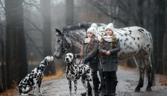 deux fillettesavecun cheval et deux chiens